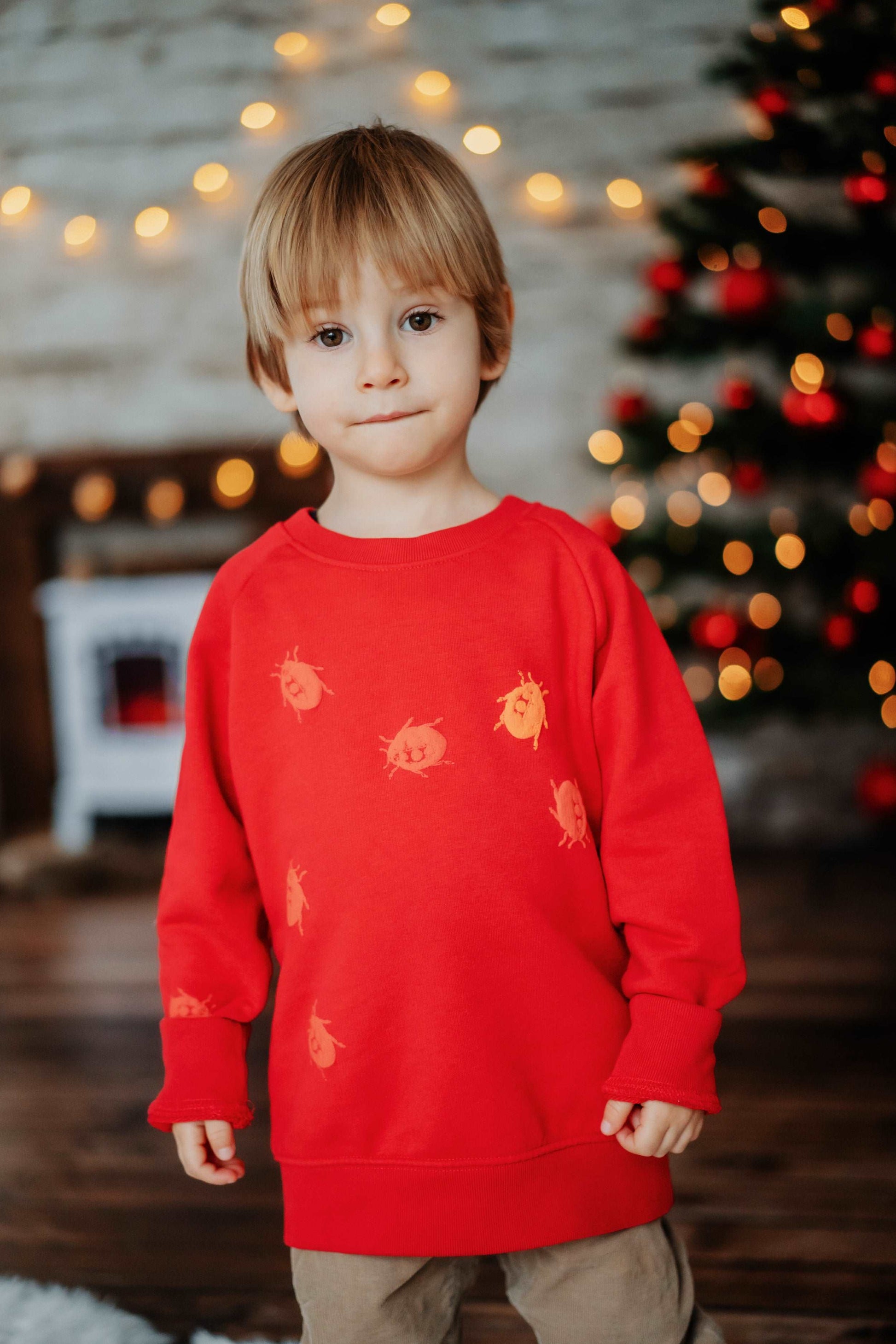 Roter und grüner Pullover und 3D Marienkäfer, Bio-Baumwolle