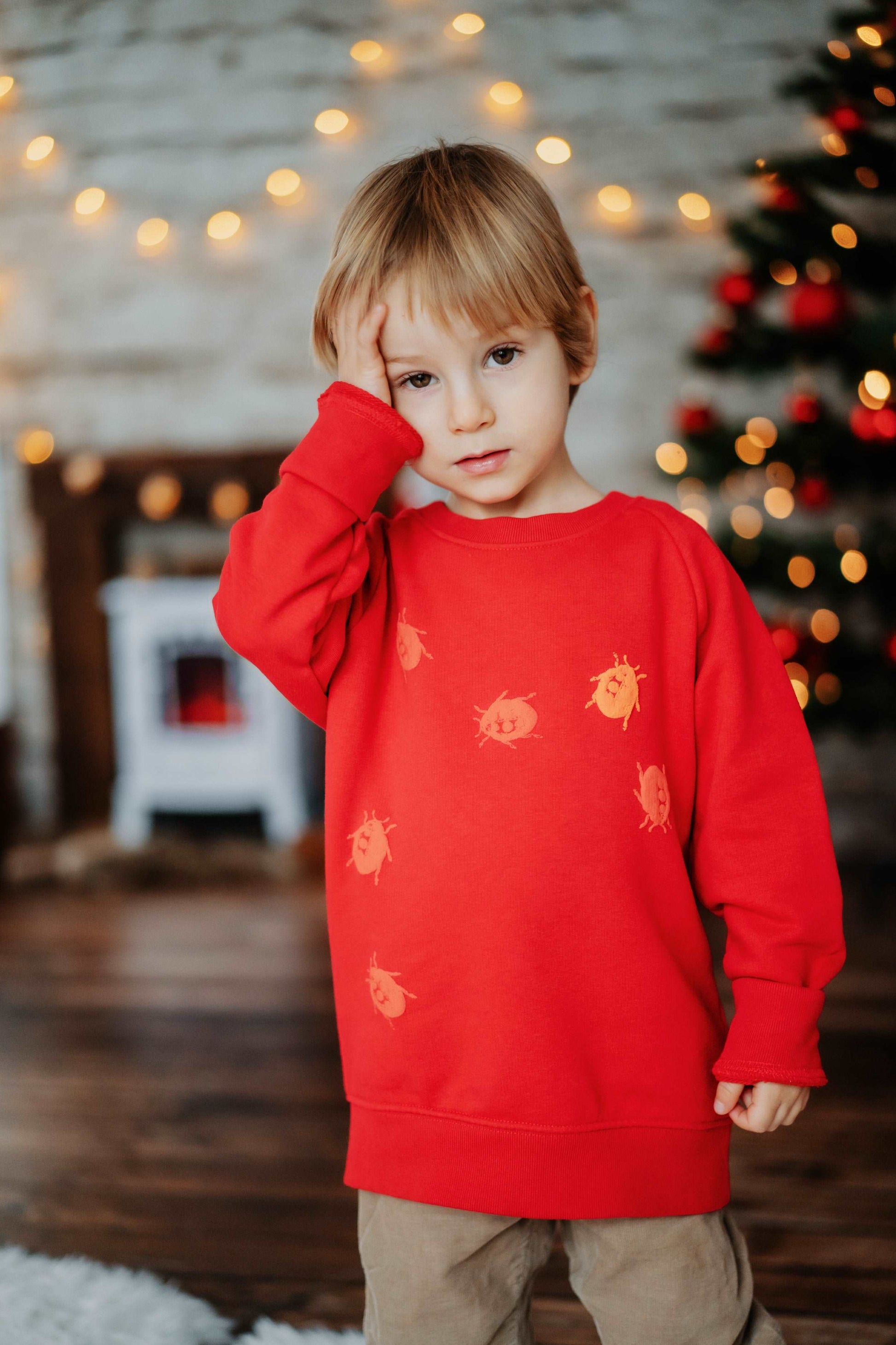 Roter und grüner Pullover und 3D Marienkäfer, Bio-Baumwolle