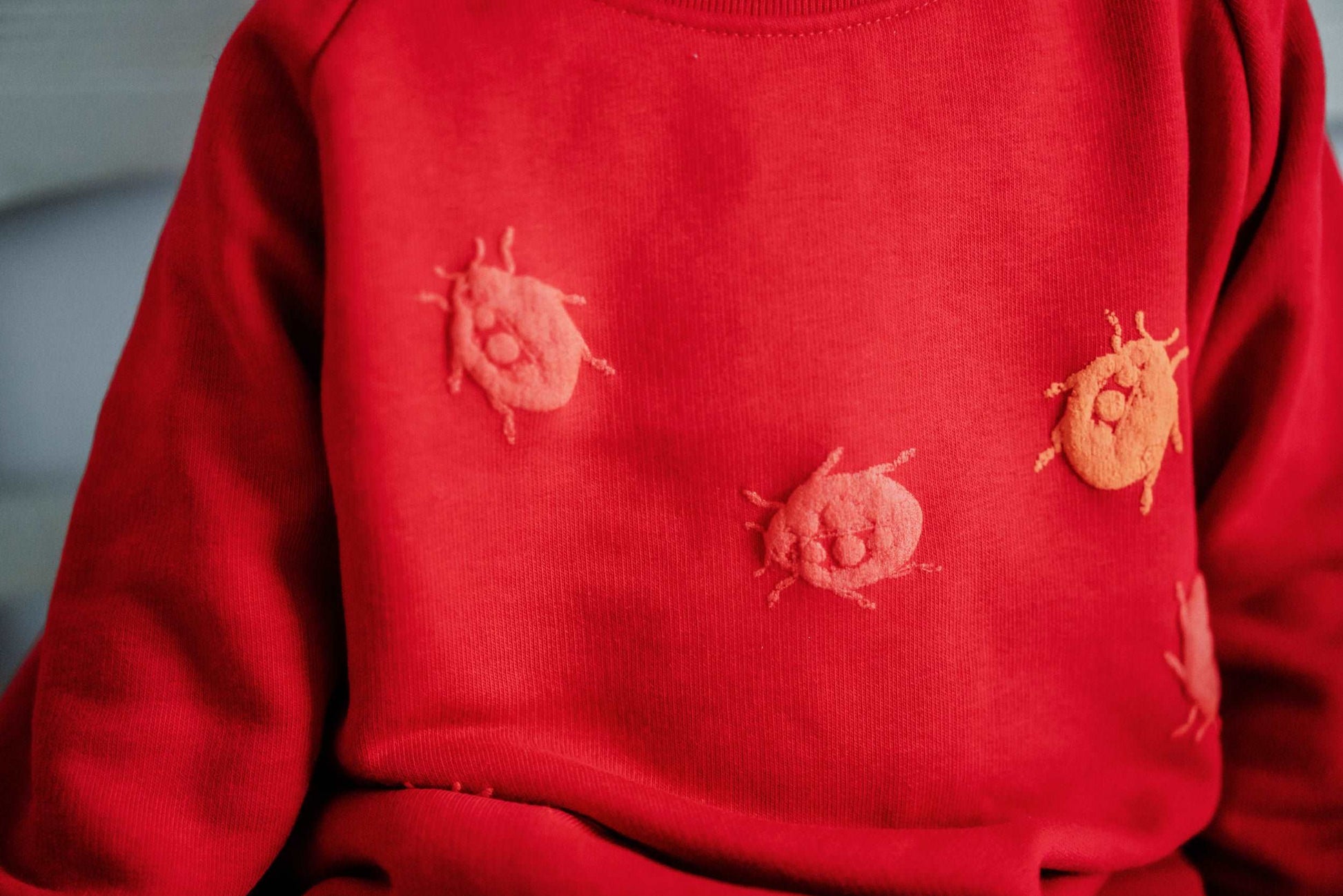 Roter und grüner Pullover und 3D Marienkäfer, Bio-Baumwolle