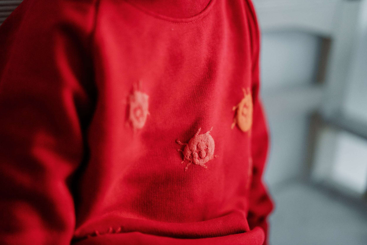 Roter und grüner Pullover und 3D Marienkäfer, Bio-Baumwolle