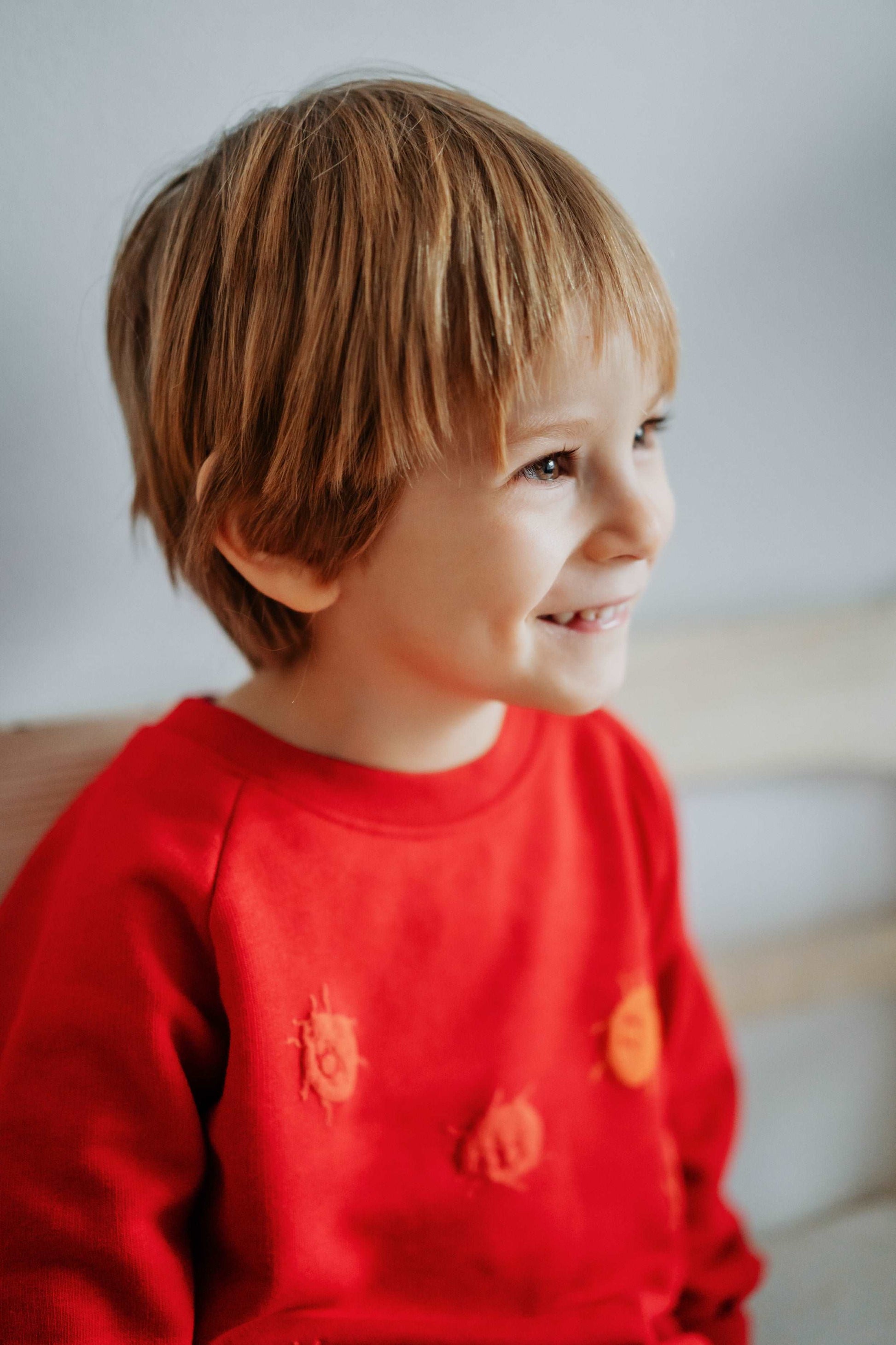 Roter und grüner Pullover und 3D Marienkäfer, Bio-Baumwolle