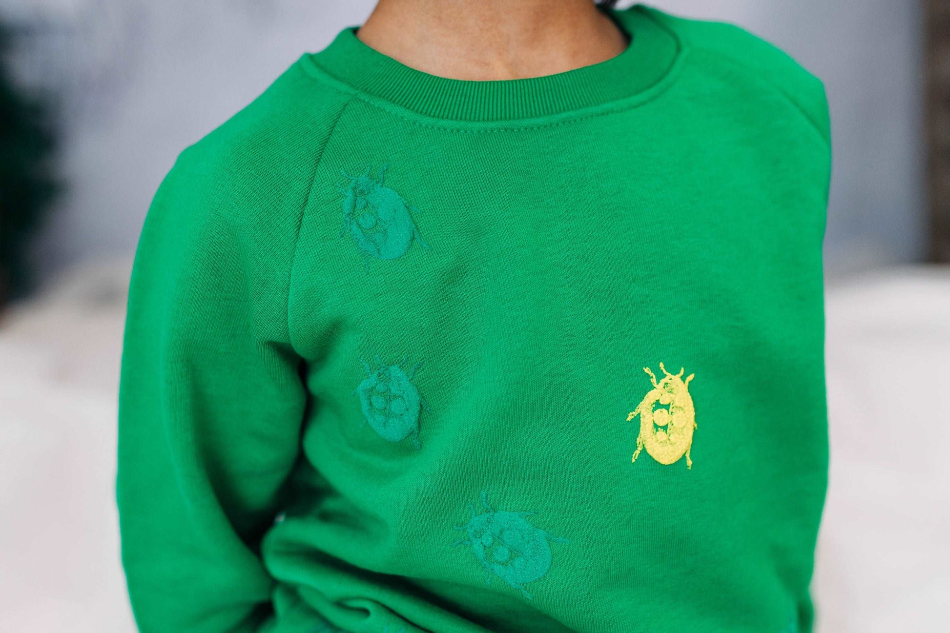 Roter und grüner Pullover und 3D Marienkäfer, Bio-Baumwolle