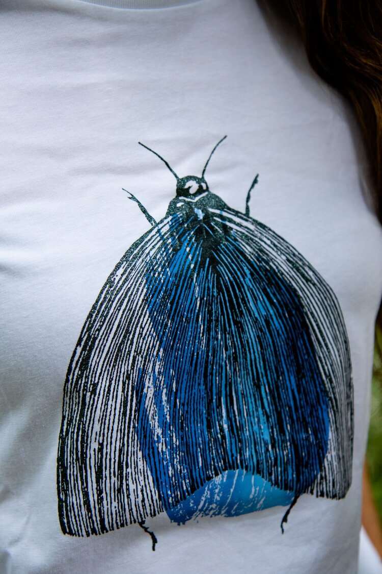 Motte, weißes T-shirt mit Kurz- und Langarm, mit oder ohne Kapuze, Bio-Baumwolle