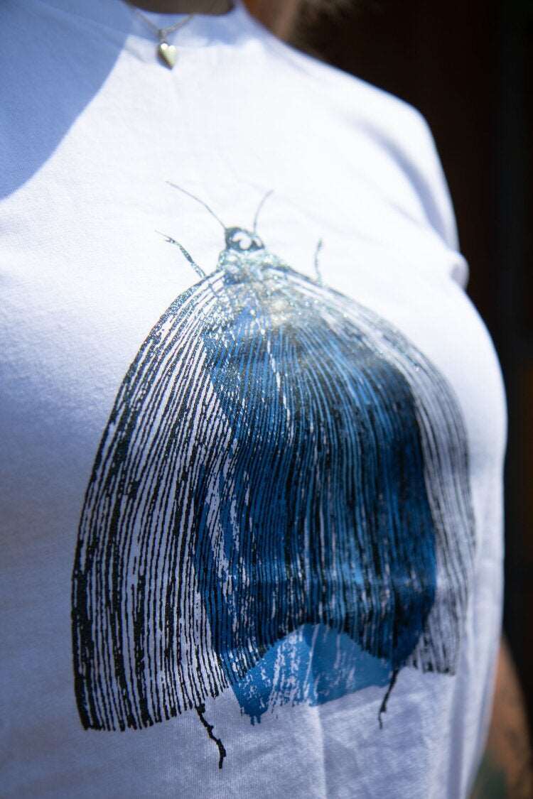 Motte, weißes T-shirt mit Kurz- und Langarm, mit oder ohne Kapuze, Bio-Baumwolle