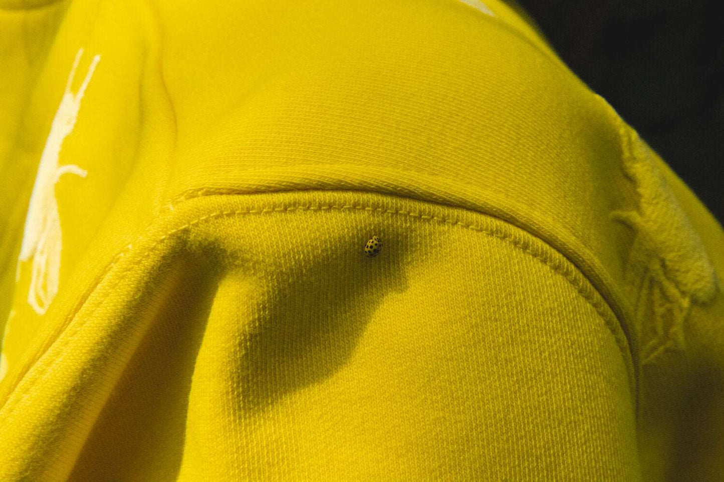 Gelber Pullover Fliegen im 3D-Print, 300g BioBaumwolle