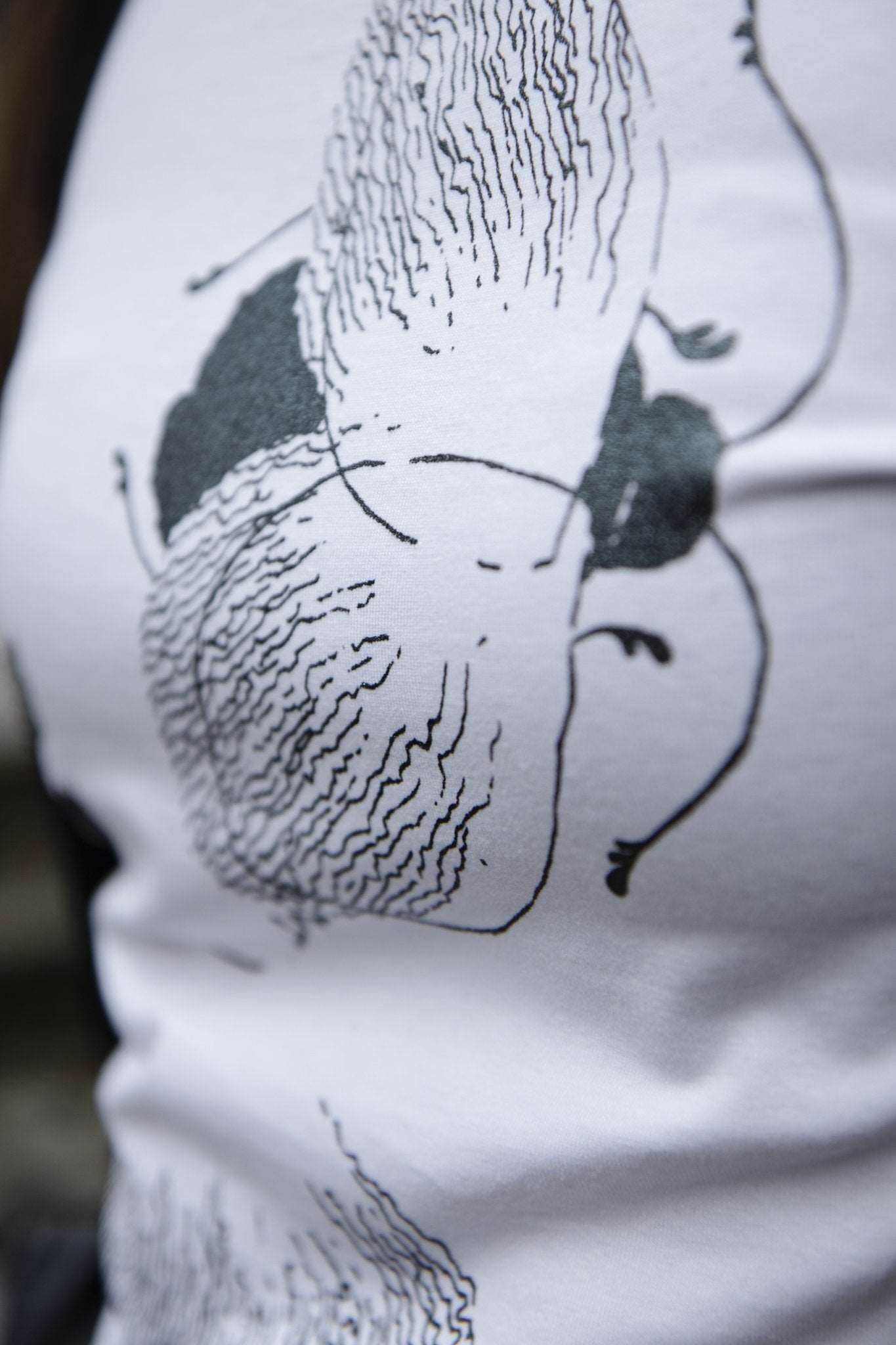 COLLAGE – Das hochwertigste T-Shirt auf dem Markt, 95% Bio-Baumwolle/5% Elasthan